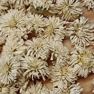 Camomille romaine - plantes - medicinales - tisane - bio - producteur