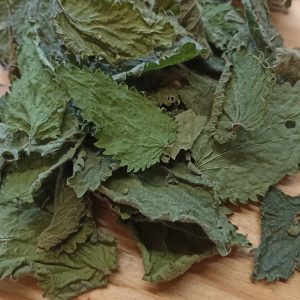 ortie - plantes - medicinales - tisane - bio - producteur